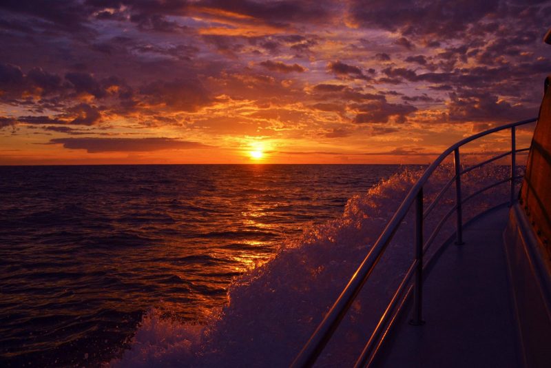 Port Macquarie Fishing Charters