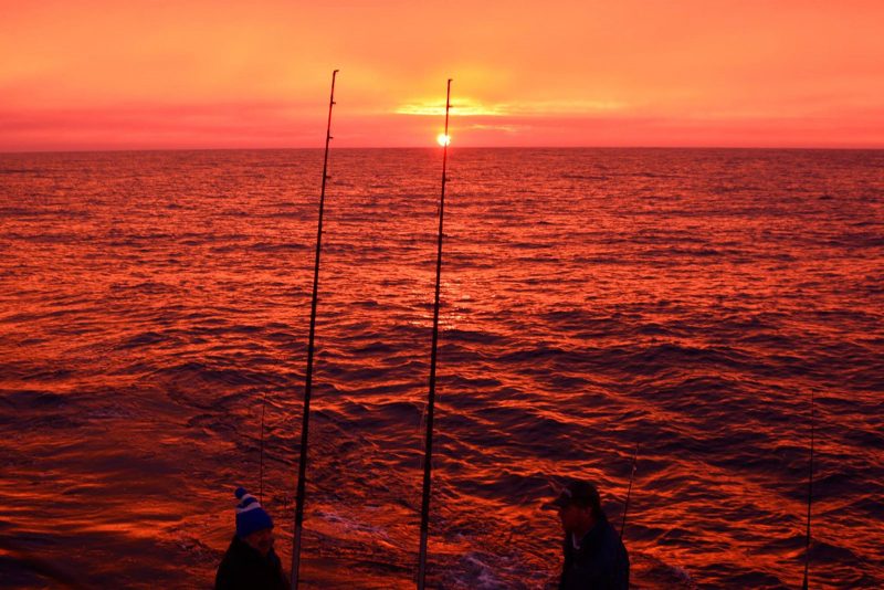 Port Macquarie Fishing Charters